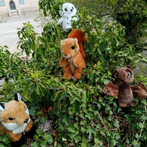 Peluches