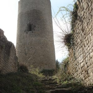 Château du Pflixbourg