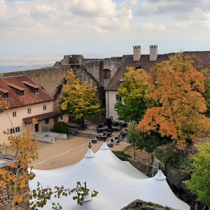 Vue NO sur la cour